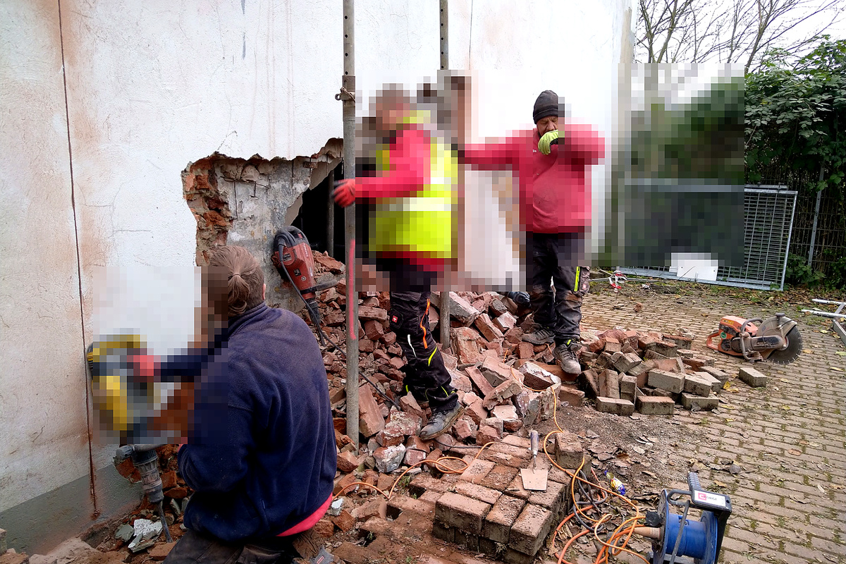 Galeriebild 3